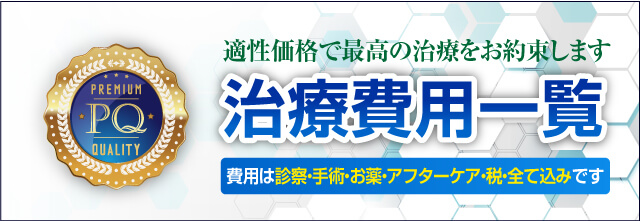 適性価格で最高の治療をお約束します|治療費用一覧|仮性:万円 増大術:5万円 長径術15万円