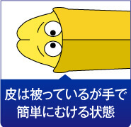 皮は被っているが手で簡単にむける状態