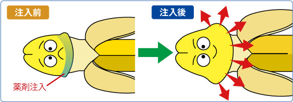 カリ高注入法:薬剤注入前→注入後