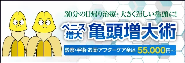 30分の日帰り治療・大きく逞しい亀頭に!ペニス増大 亀頭増大術。診察・施術・お薬・再診全て込み5万円~
