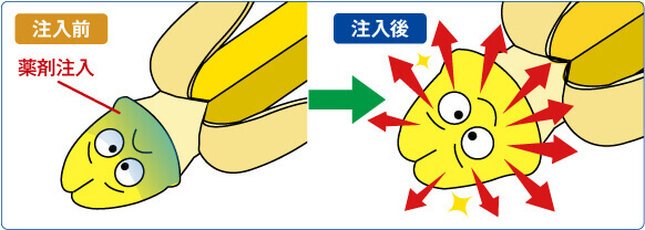 全体注入法:薬剤注入前→注入後