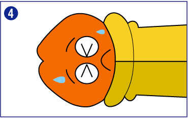 長時間亀頭を露出