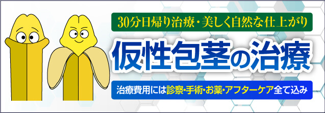 仮性包茎とは 包茎手術ならmsクリニック 新宿 横浜 名古屋 大阪