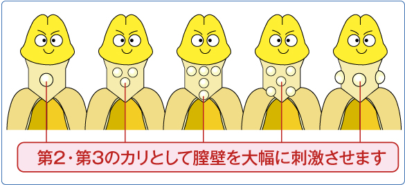 第2・第3のカリとして膣壁を大幅に刺激させます