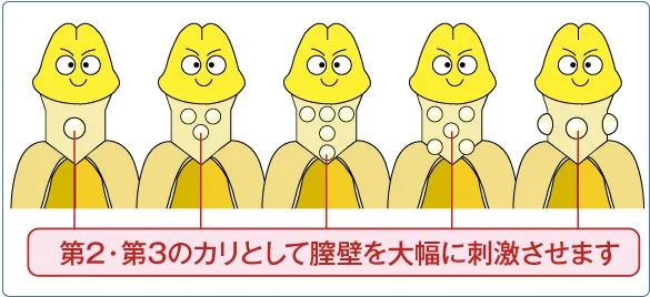 第2・第3のカリとして膣壁を大幅に刺激させます