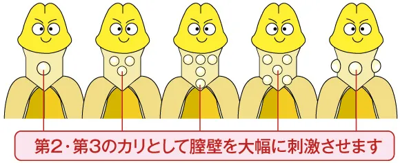 第2・第3のカリとして膣壁を大幅に刺激させます