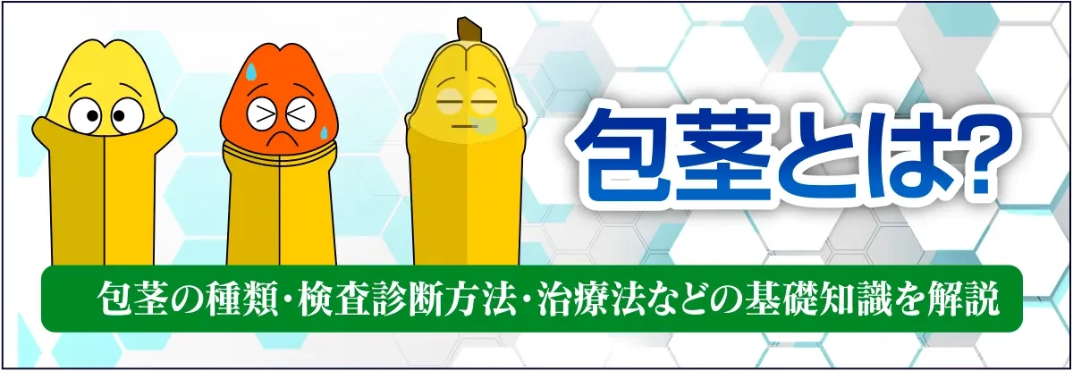 30分の日帰り治療・美しく自然な仕上がり！包茎手術・治療｜仮性：5万円～｜真性15万円～｜カントン：12万円～